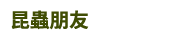 兒童節、親子共讀、親子出遊