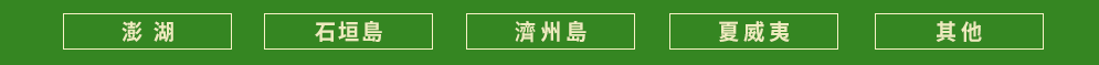 海島旅遊　布包　竹編包　減肥　登山　露營　輕食