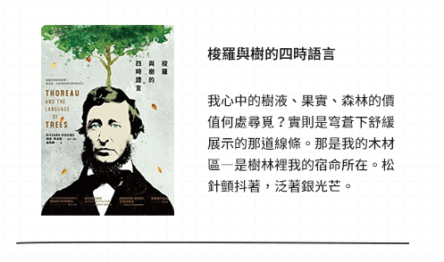 張老師文化、心靈、心智、心理、溫馨、輔導