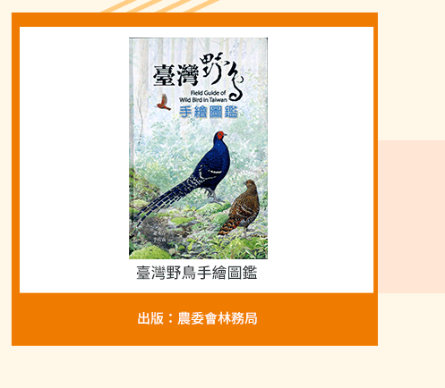幼教、手語、文資、台灣紀錄片、臺灣紀錄片、台灣文學獎、金典獎