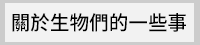 貓頭鷹、貓頭鷹出版社