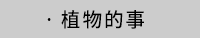 貓頭鷹、貓頭鷹出版社