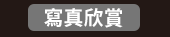 爸、爸爸、老爸、父、父親、爹、夫妻、家庭、親子、教養、男人、運動、登山、露營、品酒、大齡、退休、煮夫