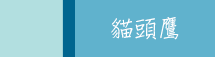 城邦、生活、儀式感、套書、暢銷、文學、親子、商管、心靈、保健、人文、藝術、科普、學習、語言、商周、貓頭鷹、獨步、墨刻