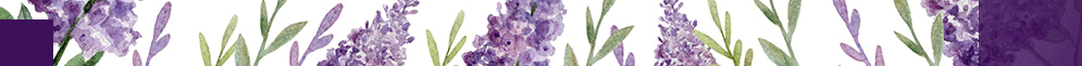 cotswold lavender 薰衣草 英國 身體保養 清潔
