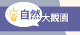 科普 數學 自然 程式 劉小屁 量子物理 太陽系 Scratch