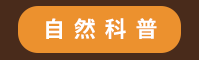 2020、暢銷、新書、現折、賞書、十色