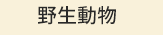 夏、熱、科普、植物、動物、攝影、天文、氣象、旅遊、減肥