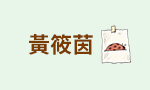 小豆子、小豆子的大冒險、大衛•卡利、親子共讀、正向教養、正面力量、108課綱、生命議題、生涯規劃、閱讀素養、藝術美感素養、自我認同、包容、多元文化、人際關係、思考力、創造力、海狗房東