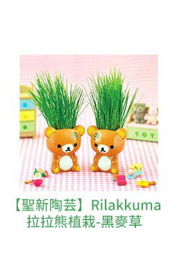 【聖新陶芸】Rilakkuma拉拉熊植栽-黑麥草