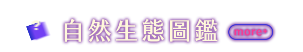 自然生態圖鑑