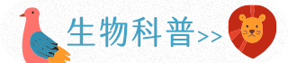 生物科普