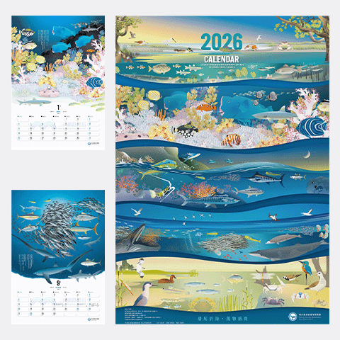 海洋保育署2026年月曆：棲居於海・萬物盛典